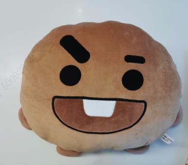 BT21 Collection 16in. Head-Shape Pillow(SHOOKY)